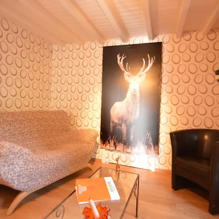 In Ardennes With Heated Pool *