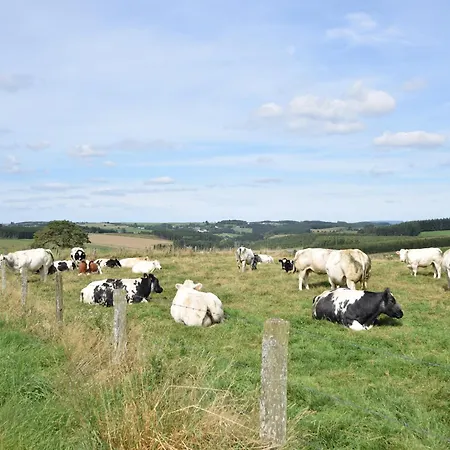 In Ardennes With Heated Pool *